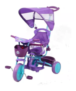 Triciclo Disney Frozen Con Guía Y Toldo De 9 A 36 Meses Seguridad