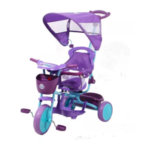 Triciclo Disney Frozen Con Guía Y Toldo De 9 A 36 Meses Seguridad
